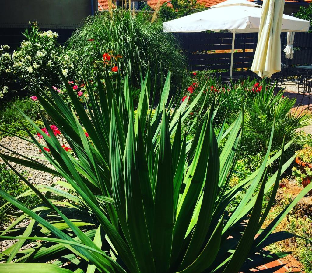 Guesthouse Villa Vice Split Bagian luar foto